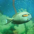 DSCN9948.JPG