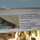 Выставка зоопарк "Живые тропики"60604
