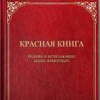 Орлан-белохвост. Зооботанический сад. Казань.78382
