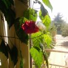 DSCN0574.JPG
