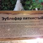 КК№46.Парк тропических бабочек.62345