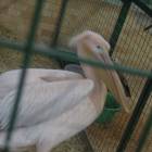DSCN4967.JPG