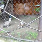 DSC05992.JPG