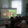 Тропик күбәләкләр