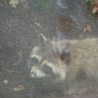 DSCN0213.JPG