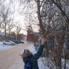Кормушка для птиц128668