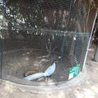 DSC06393.JPG