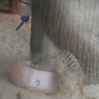 DSCN4814.JPG