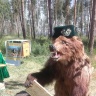 Сабантуй