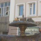 DSCN0825.JPG