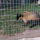 IMG_20160828_092610