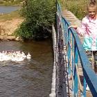 IMG_20180815_111702