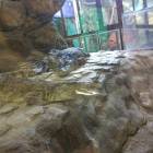 IMG_20171112_191437