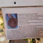 Выставка зоопарк "Живые тропики"60594