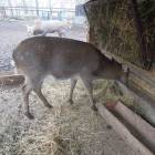 DSCN4901.JPG