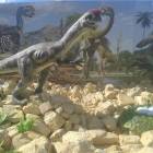 IMG-20160706-WA0006