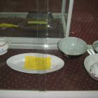 IMG_2605.JPG