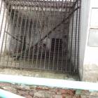 DSC05932.JPG