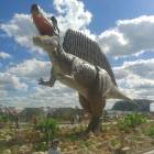 IMG-20160706-WA0029