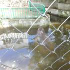 DSC05948.JPG