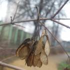 DSCN5040.JPG