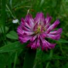 DSCN0583.JPG