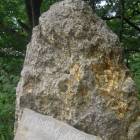 DSCN0336.JPG