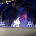 IMG_0995.JPG