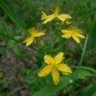 DSCN0580.JPG