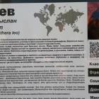 Лев. Зооботанический сад. Казань.78050