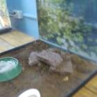IMG_20171102_155209