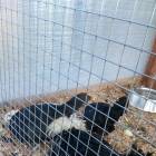 IMG_20160828_084851