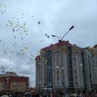 голубь24