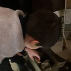 Антиалкогольный музей. Казань.174588