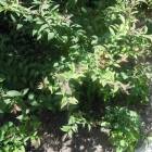 DSCN0542.JPG