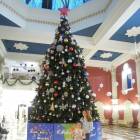 DSCN7045.JPG