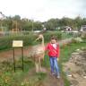 DSC03616.JPG