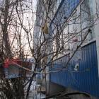 Кормушка для птиц128669