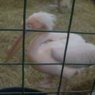 DSCN4958.JPG