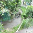 DSC05980.JPG