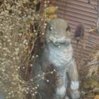 DSCN4803.JPG