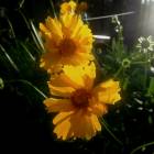 DSCN0318.JPG