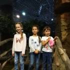 Казанский океанариум95563