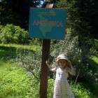 DSCN1585.JPG
