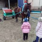 IMG_20171110_124405