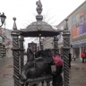 Айболит22745