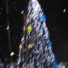 DSC04522.JPG