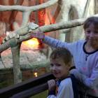 IMG_20171112_184841