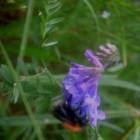 DSCN0361.JPG
