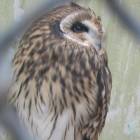 DSCN5023.JPG